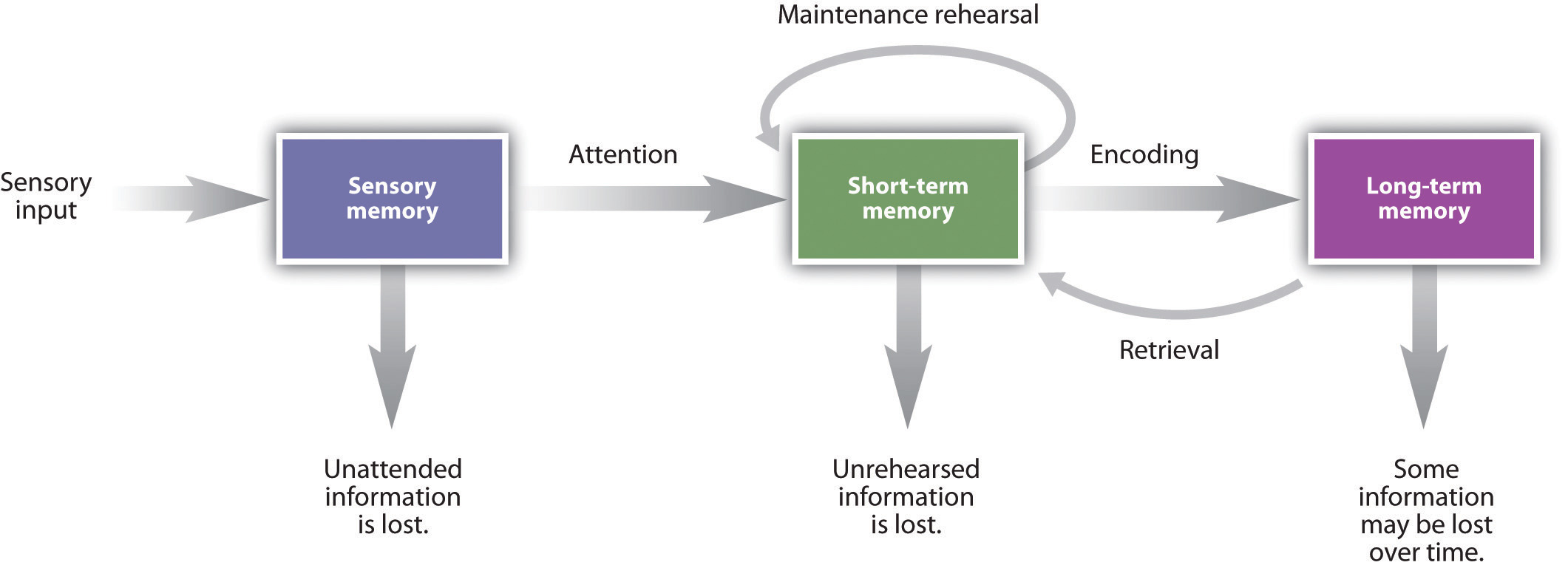 Memories As Types And Stages 