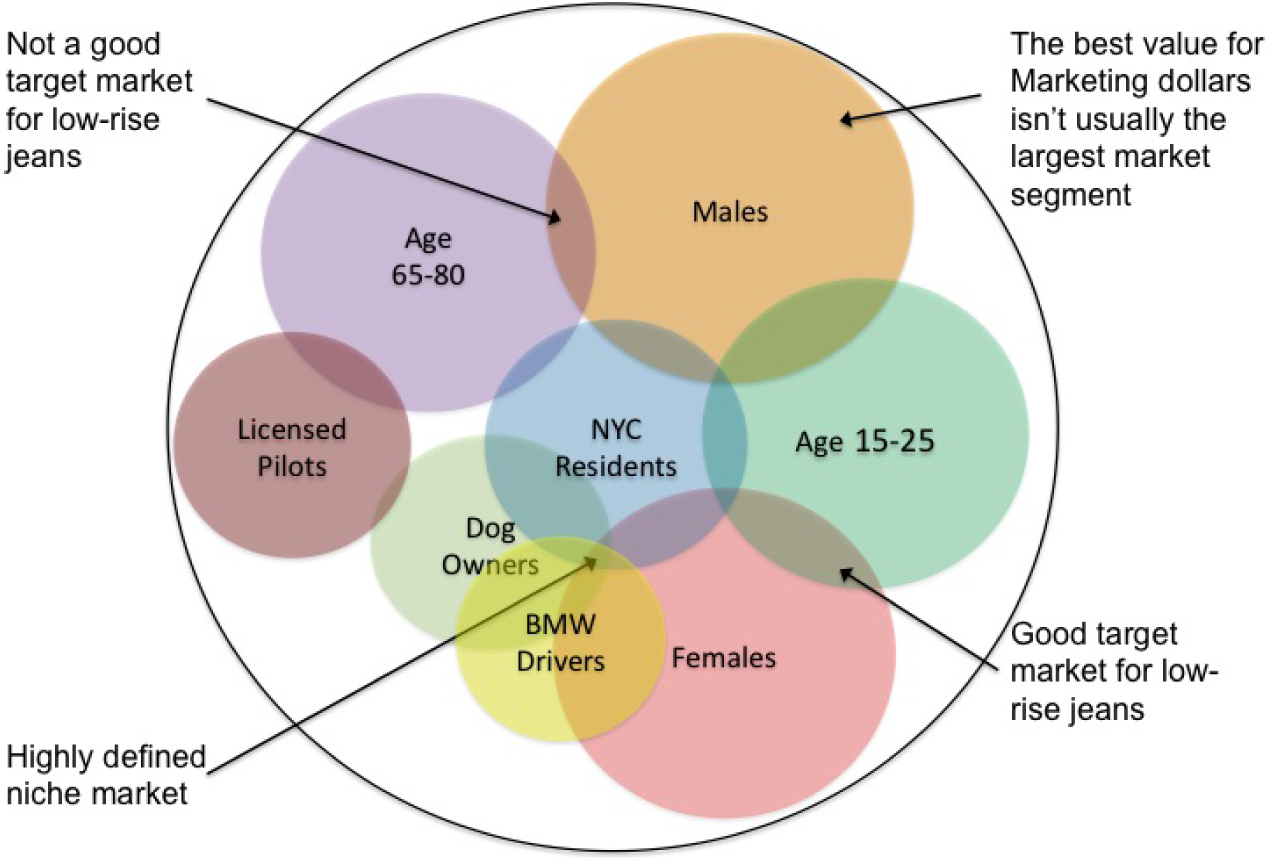 identifying-and-describing-the-target-audience-for-a-website