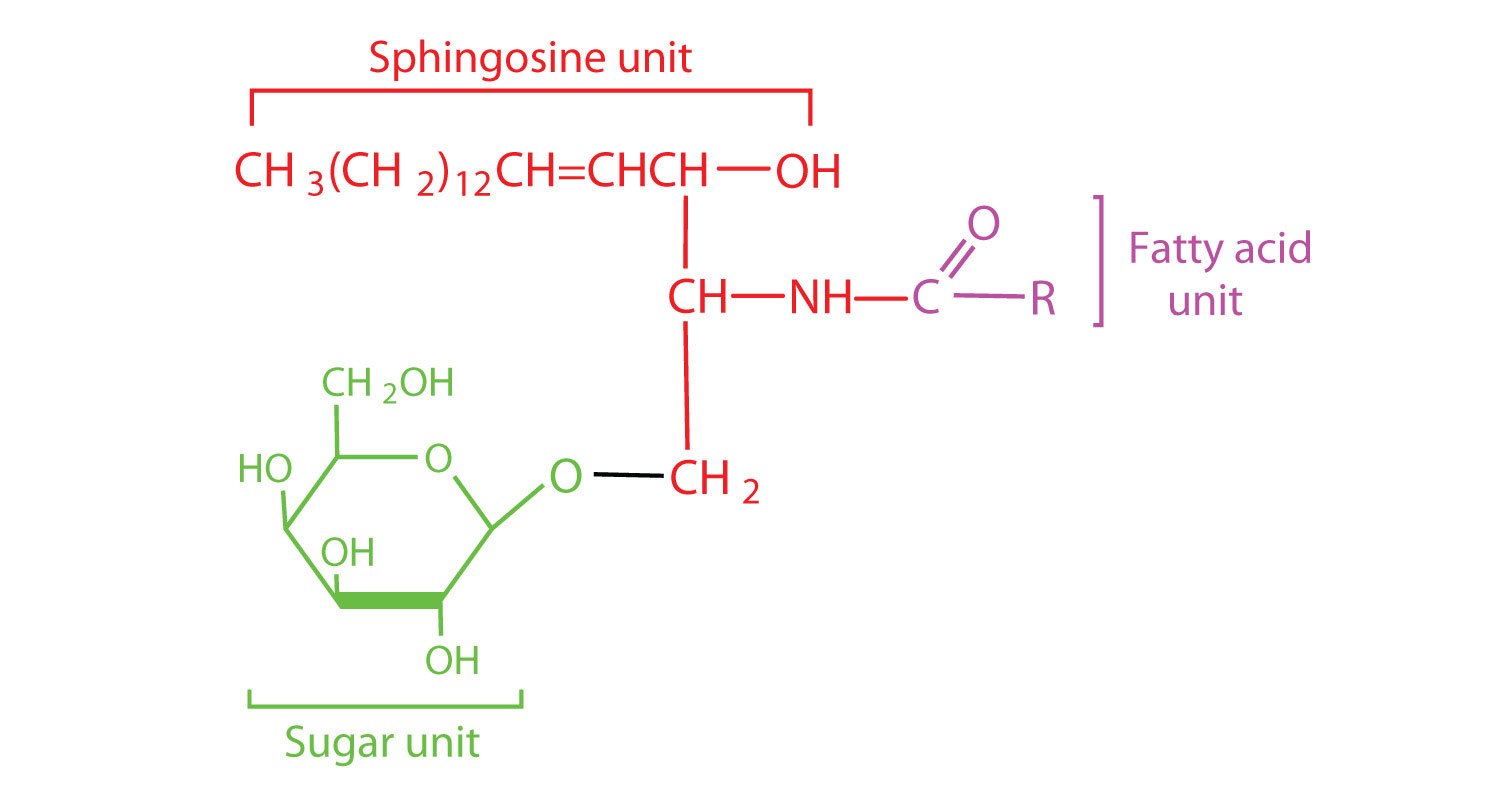 Chemistry: An Introduction to General, Organic, and