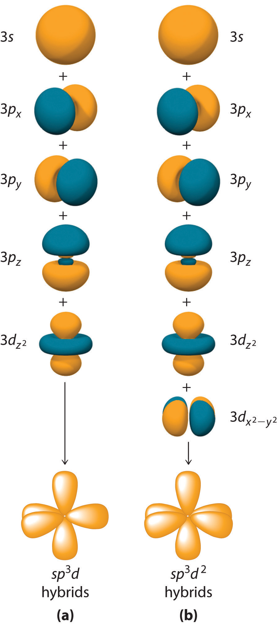 10.3 Hybridization of Atomic Orbitals Chemwiki