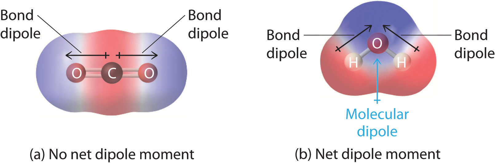 What Is A Dipole Molecule