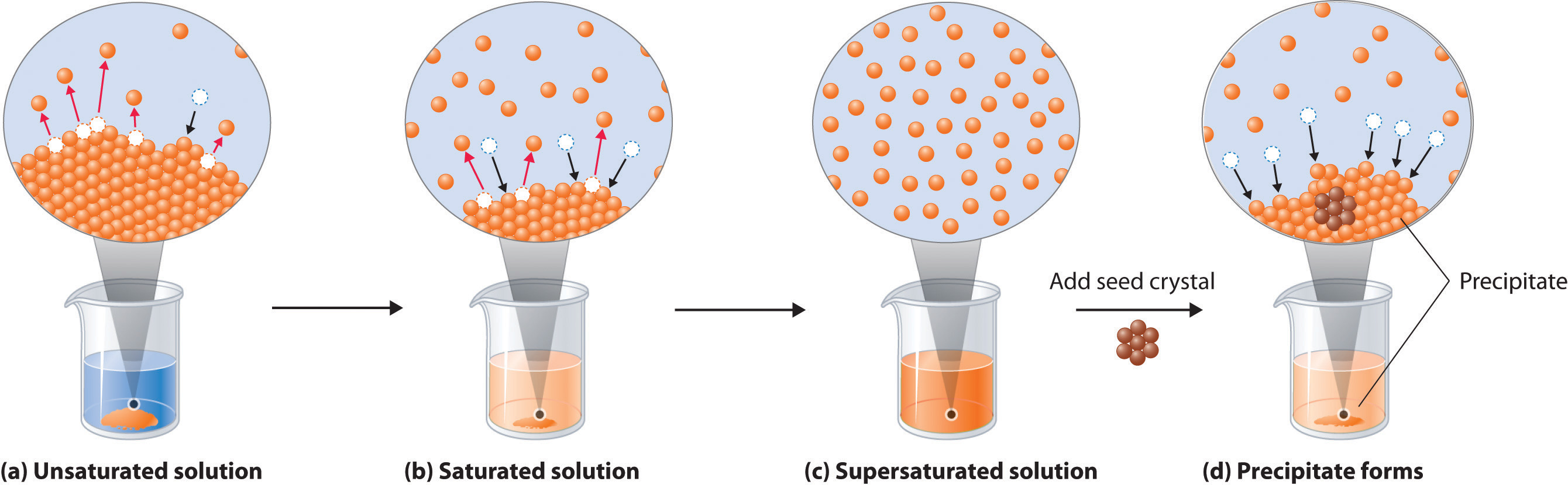 A Salt Water Solution Is An Example Of 19