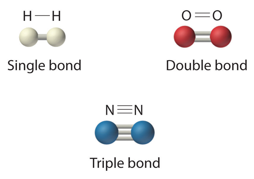 Which Covalent Bond Is The Strongest Socratic