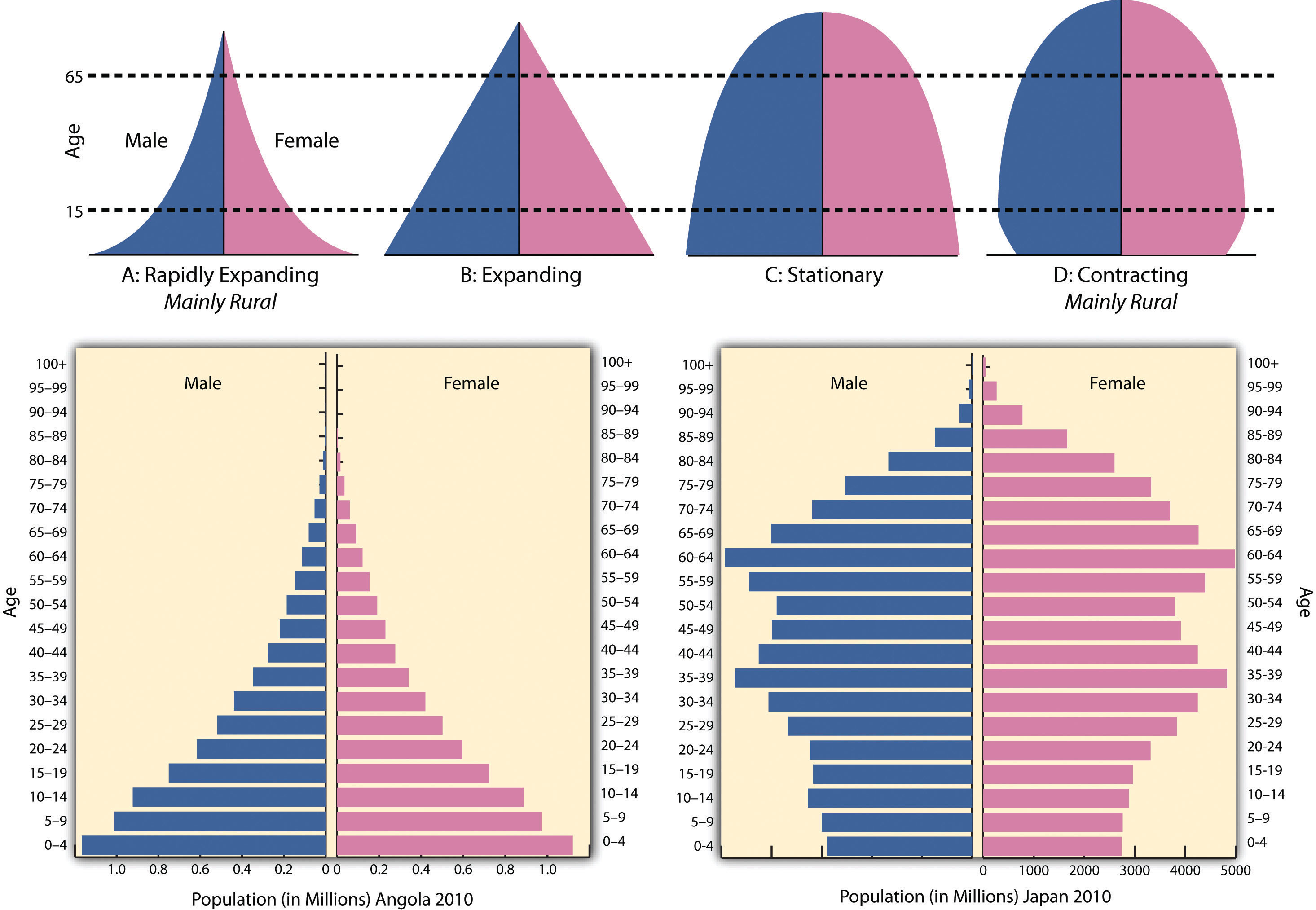 Sub saharan africa fertility rate by age