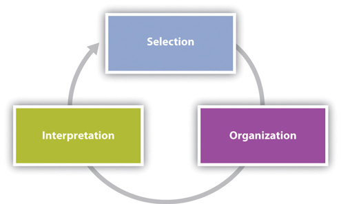 Diagram of the perception process
