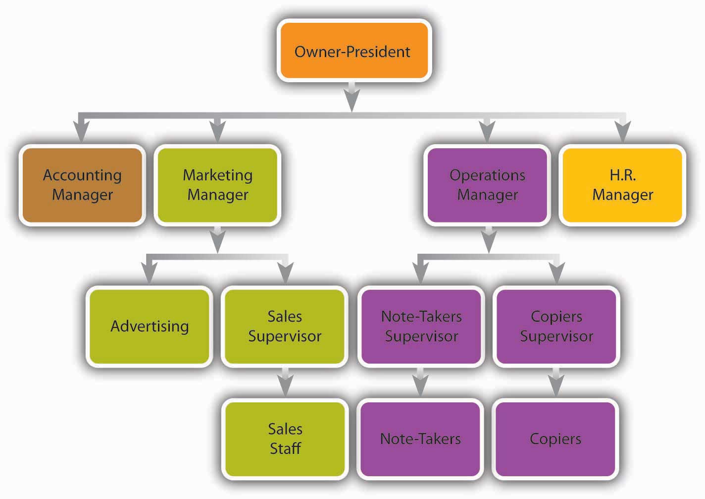 case study organisational structure