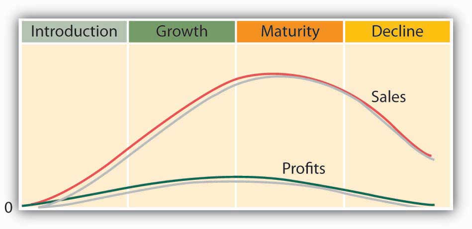 The 6 Stages of the Product Life Cycle [+Examples]