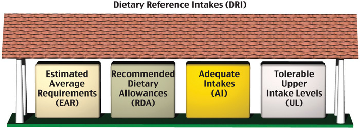 The Korean Food Balance Wheels (Source: Dietary Reference Intakes for