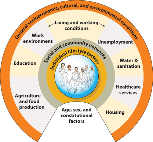 How to Meet Your Daily Nutrition Needs: Integrated Body and