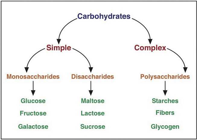 Carb Organization Chart