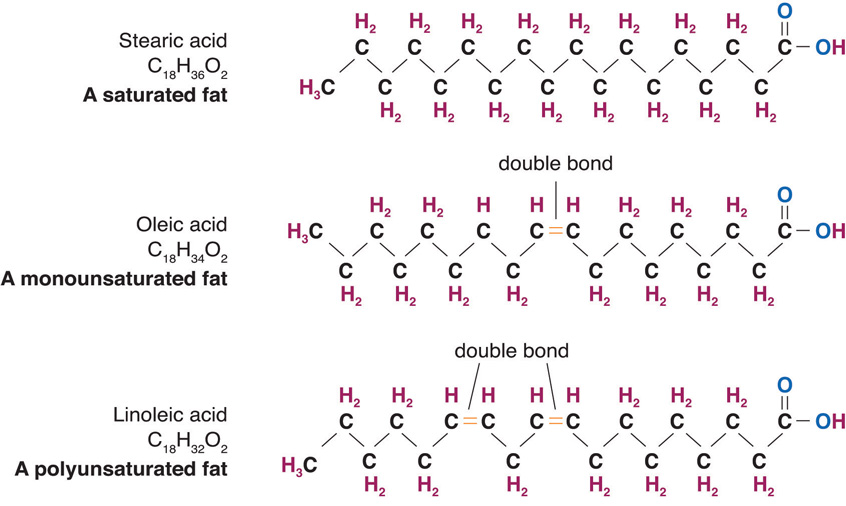 fatty acid diagram