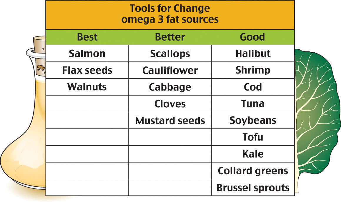 lipids examples food