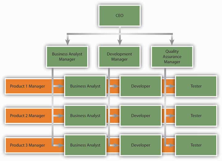 Ford matrix organizational structure #2