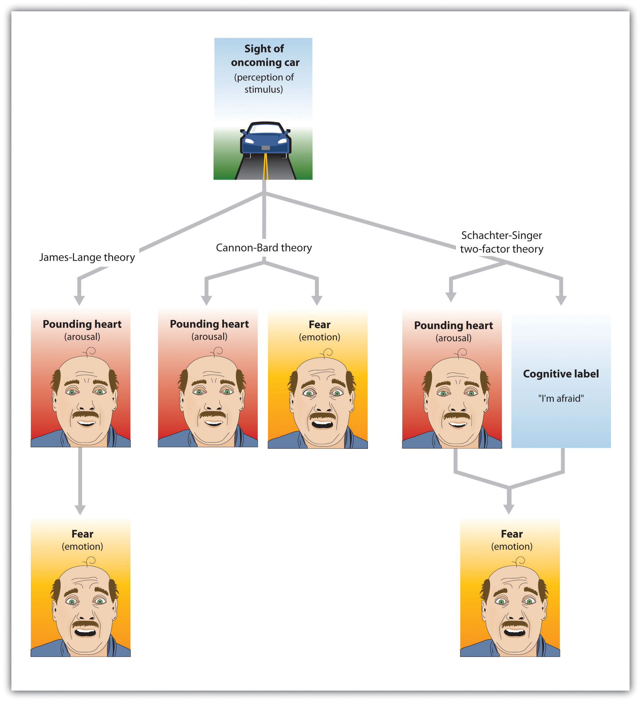 How Does Cognitive Appraisal Theory Differ From The Other Theories Of Emotion