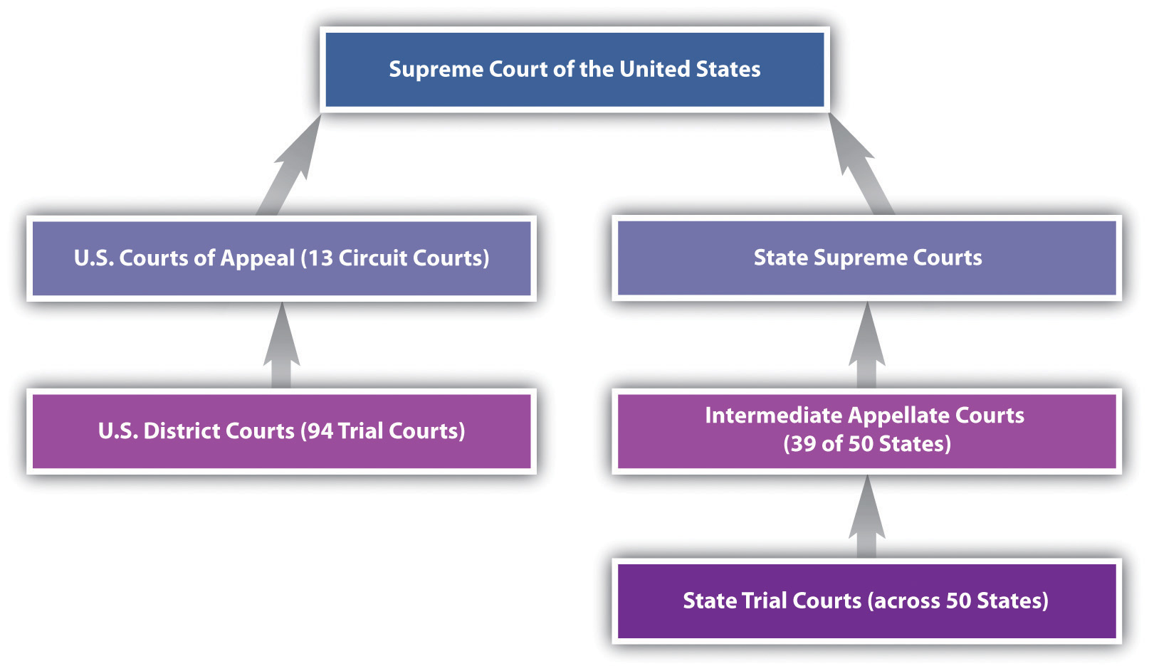 Trial And Appellate Courts