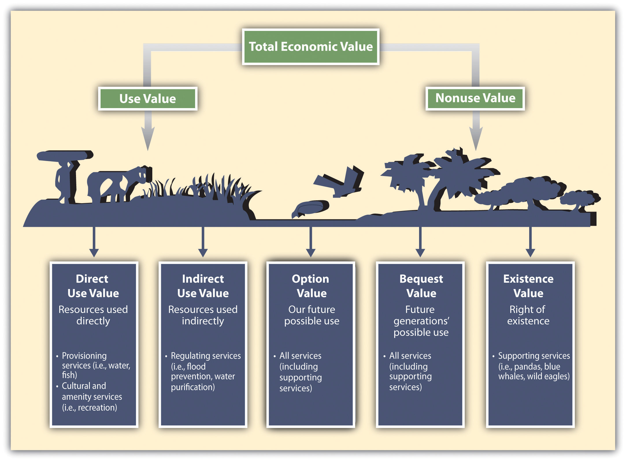 This image shows the total economic value branching off to use value and nonuse value. These two branch off to encompass direct use value, indirect use value, option value, bequest value, and existence value.