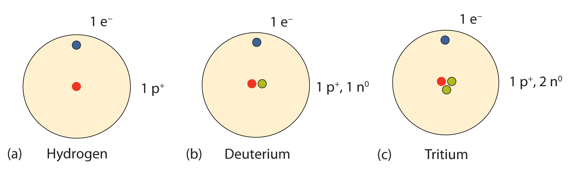 Nuclei of Atoms atomic diagram of gold 