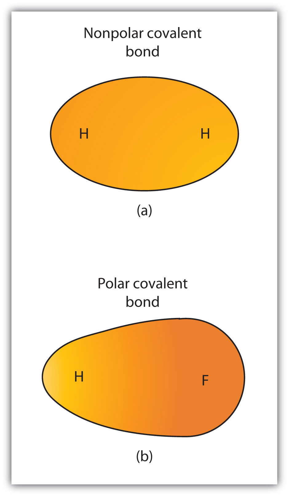 covalent bond图片