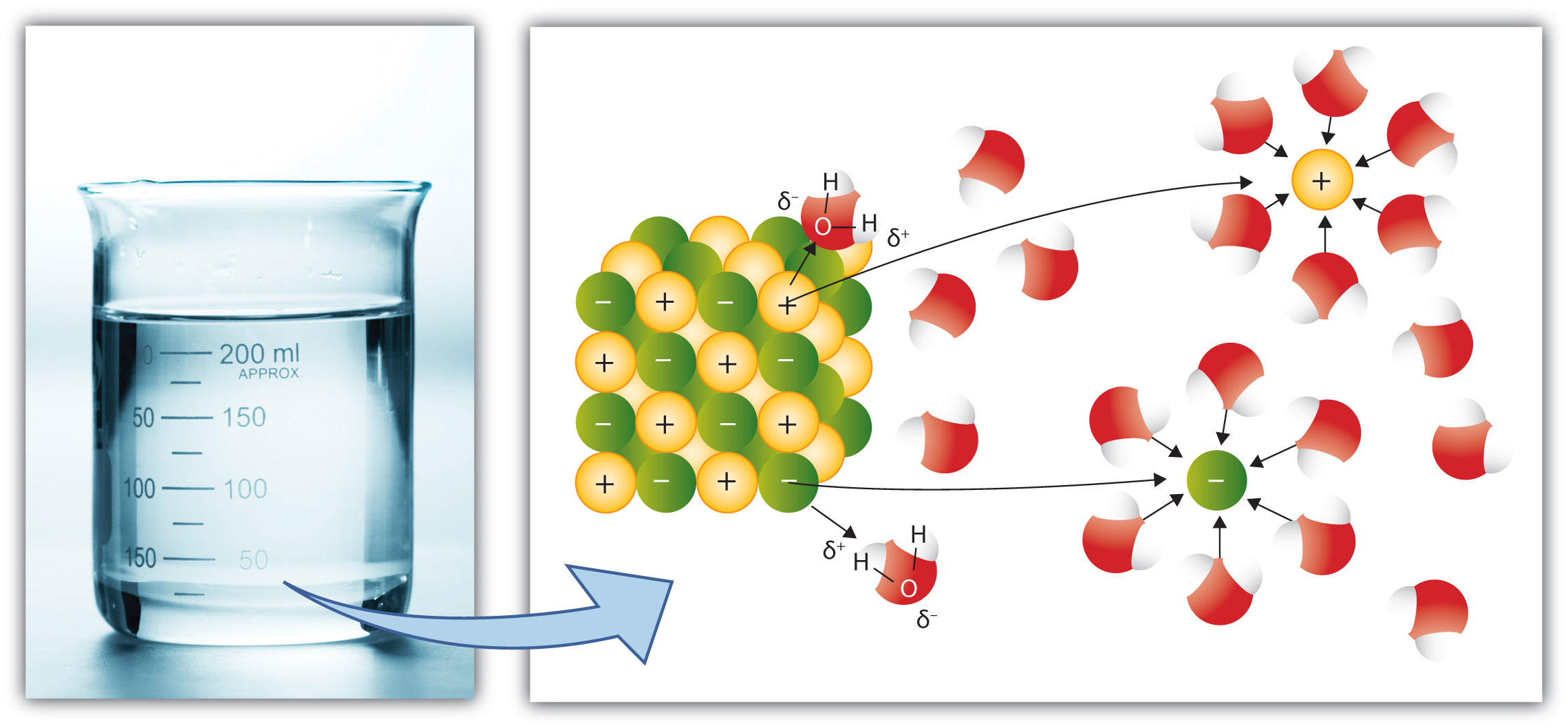 Apa Yang Dimaksud Dengan Teori Disosiasi Atau Dissociation Theory Images