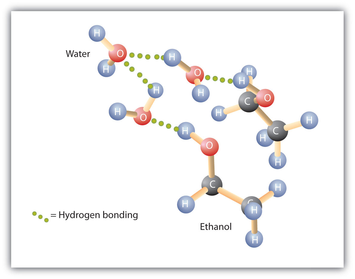 Intermolecular hydrogen bonding between multiple molecules of ethanol (an alcohol) and water molecules. The OH groups of alcohol molecules allow for the hydrogen bonding to occur with the water molecules. The hydrogen from ethanol and the oxygen from water demonstrate the hydrogen bonding by dotted green lines.