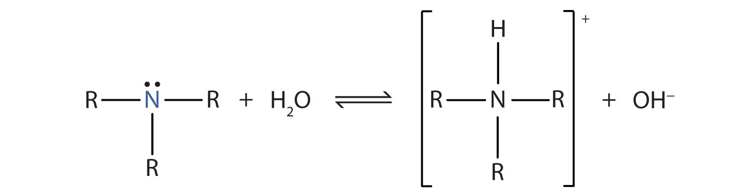 chemistry base a of example Bases Amines as 15.13