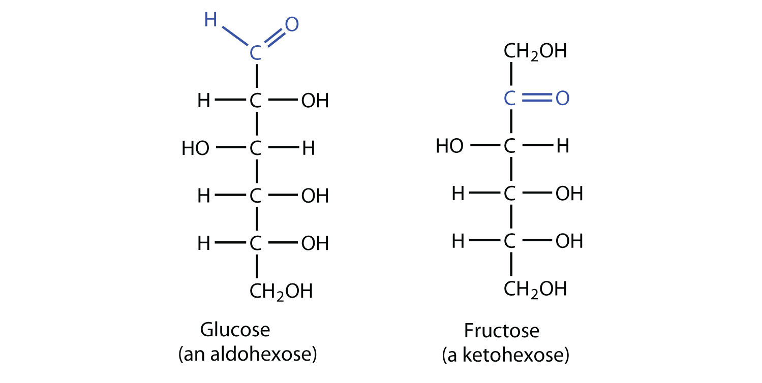 biochemistry-monosaccharides-ditki-medical-biological-sciences