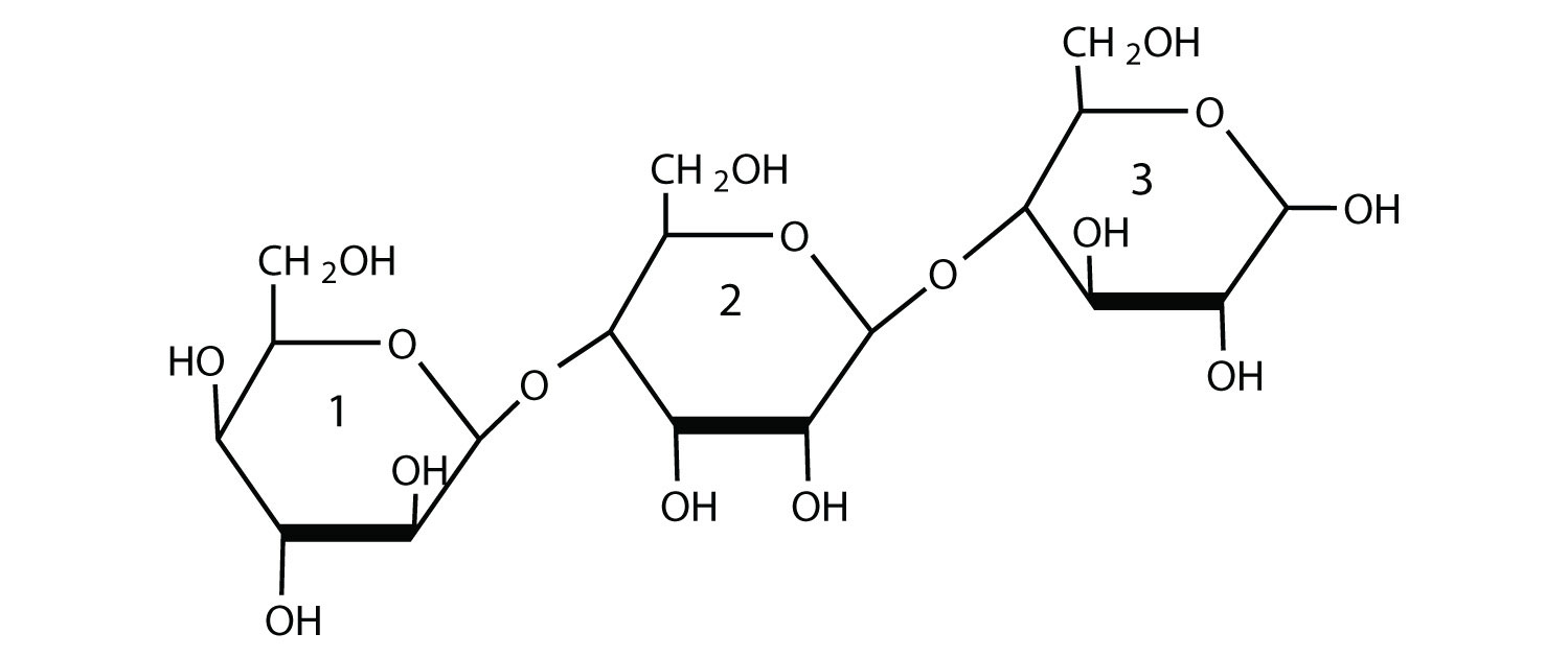 of and galactose mannose structure Disaccharides