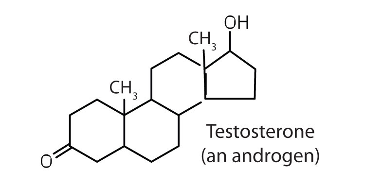 Chemical structures of the lipids used in preparing lipid/Cyclosfos-6