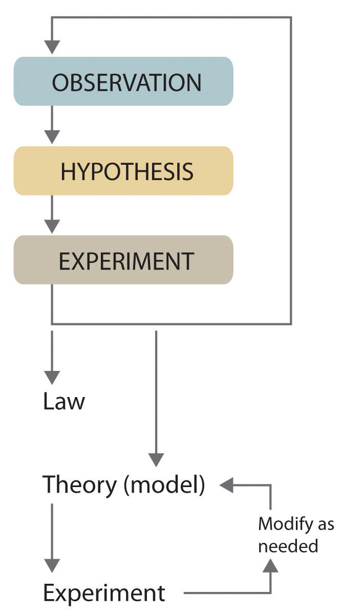 Scientific Method Flow Chart Worksheet