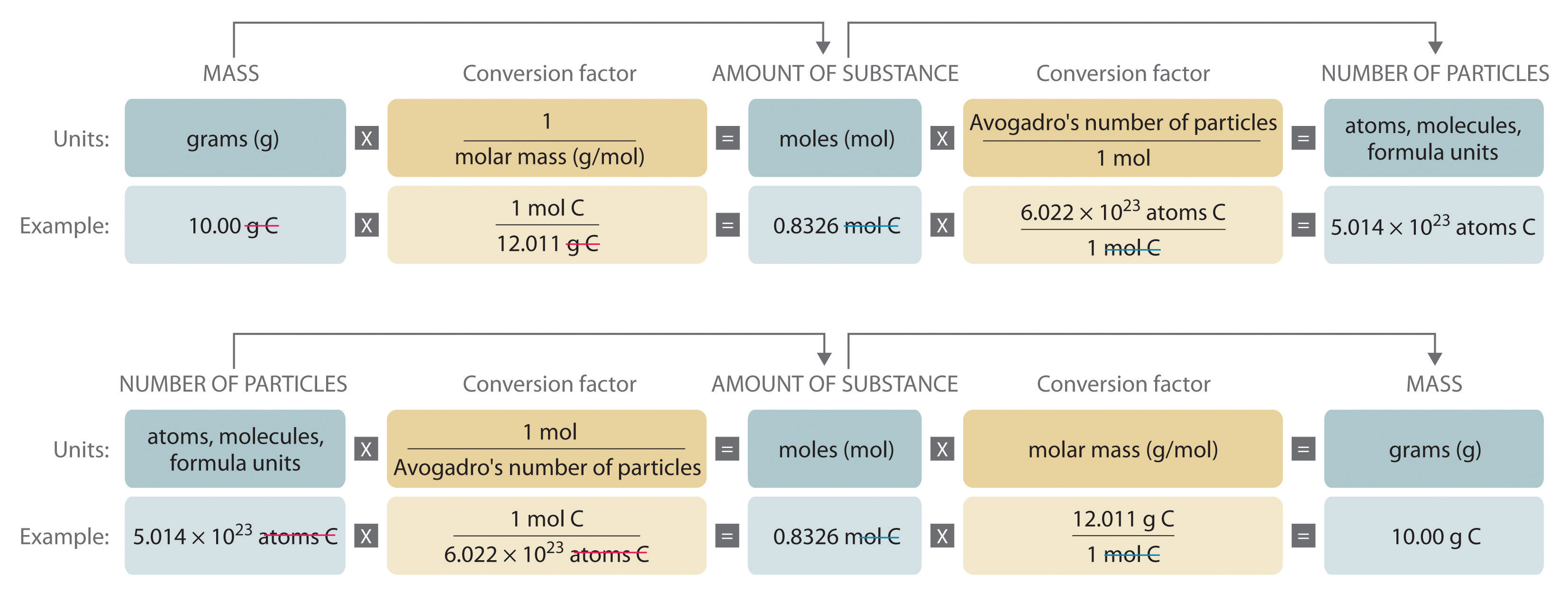 What is a good analogy for the mole concept?