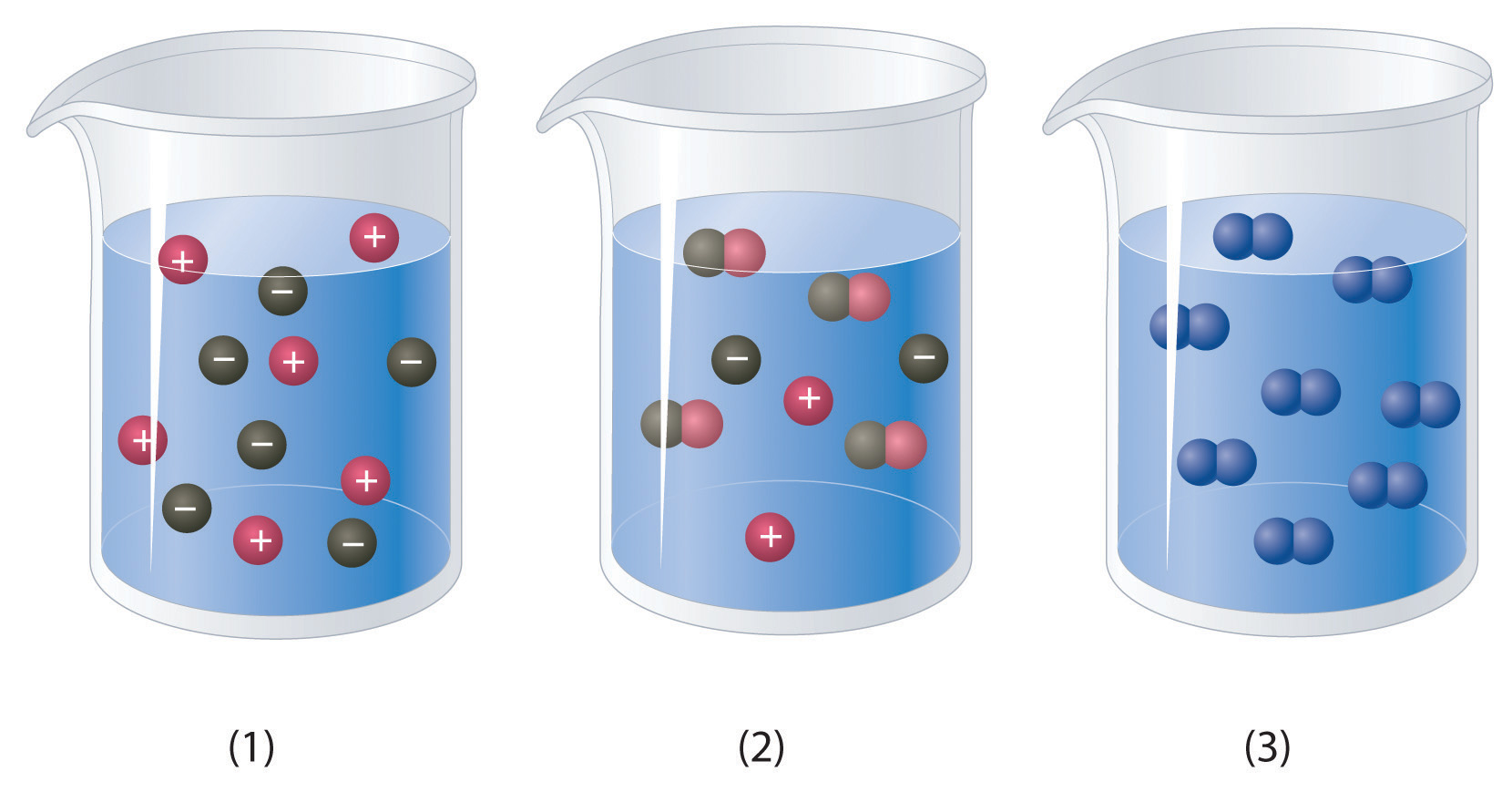 representation of the solution