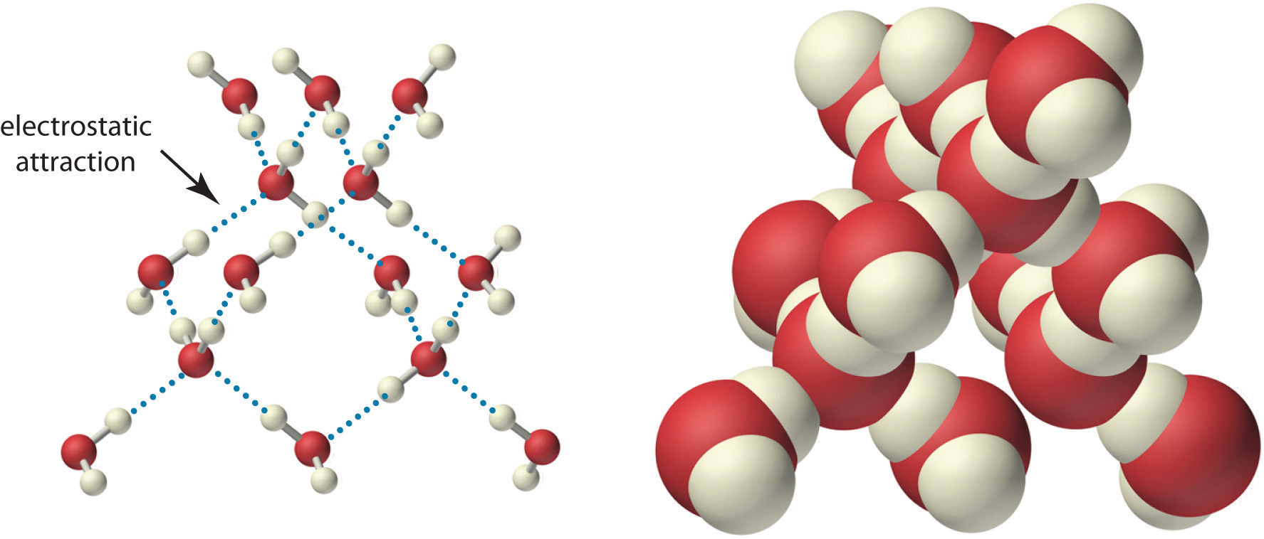 What Is The Main Attraction Force Between Water Molecules