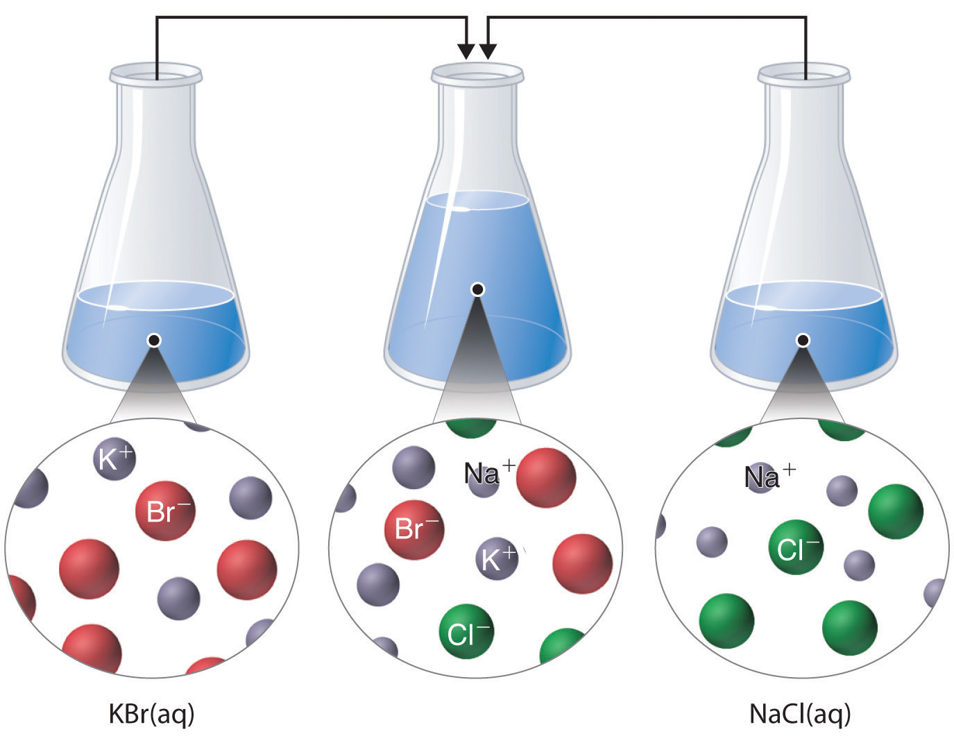 occur chemical level molecular how the on reactions Precipitation Reactions