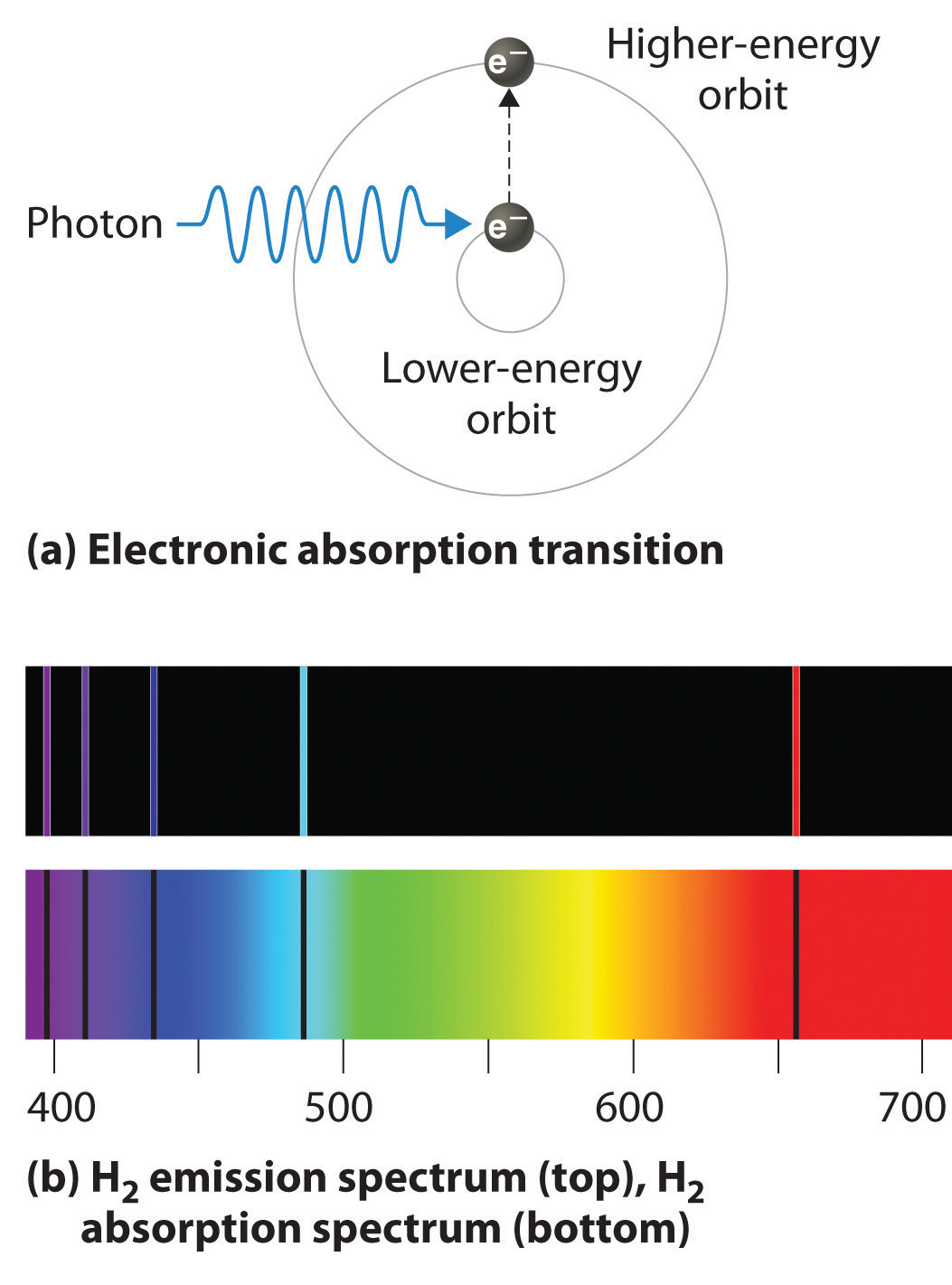 Atomic Spectra and Models of the Atom