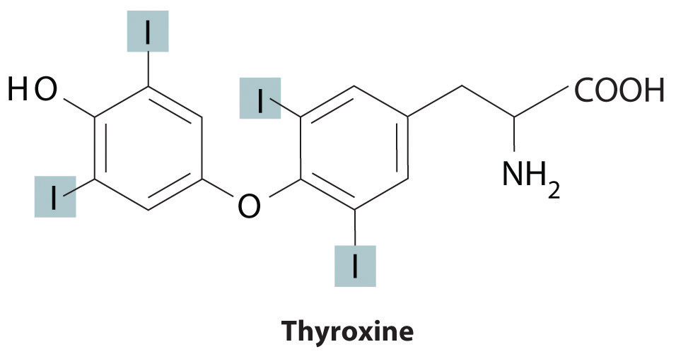 salt iodized structure Elements in Biological Systems Trace