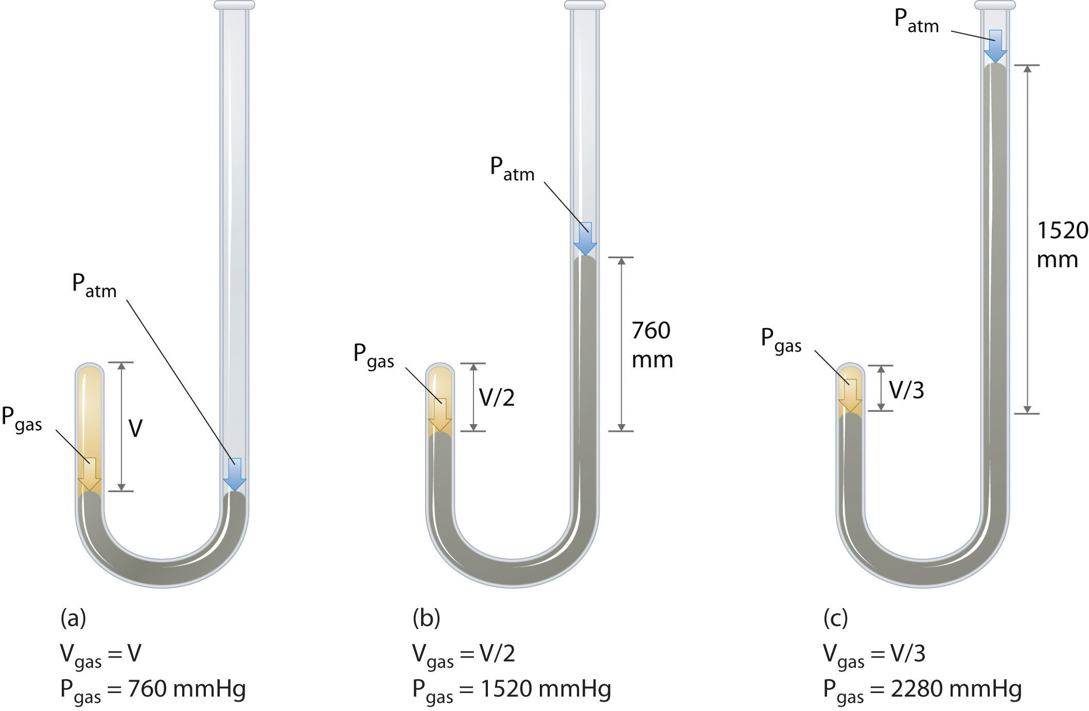 Relationships Among Pressure Temperature Volume And Amount