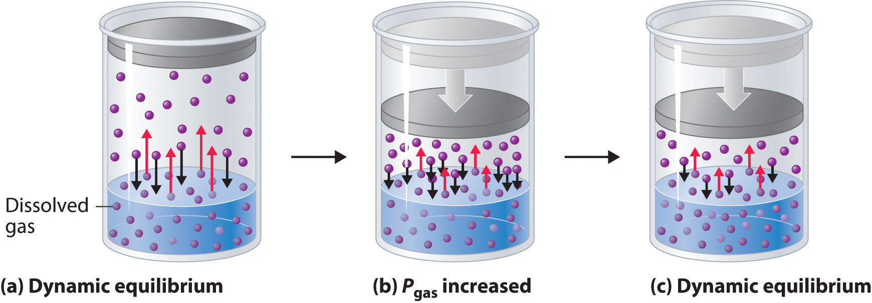 Равновесие газ жидкость. Pressure in Liquids and Gases. Liquid solvent co2. Gases dissolving in Water. Vapour Pressure cylinder.