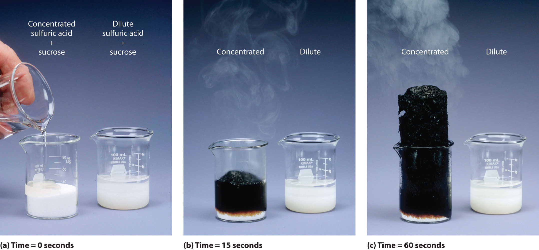 Chemical Kinetics