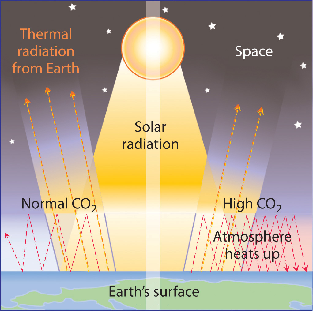 energy-changes-in-chemical-reactions