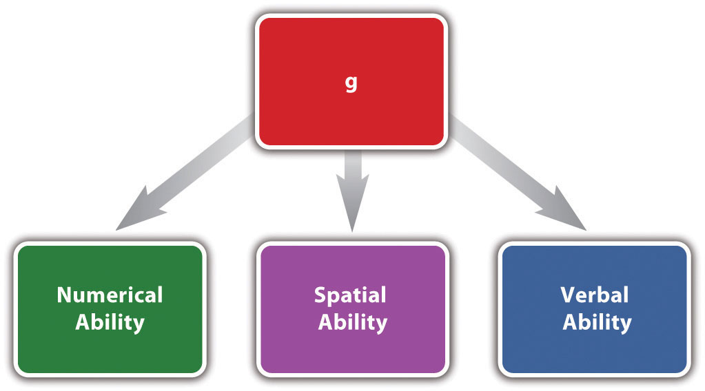 Non ability. Verbal ability. Verbal numerical Figural Intelligence Reasoning. Spatial abilities Tests. Envy Theory and research.