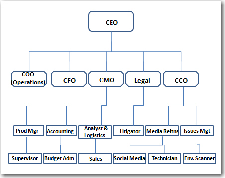 C Suite Org Chart