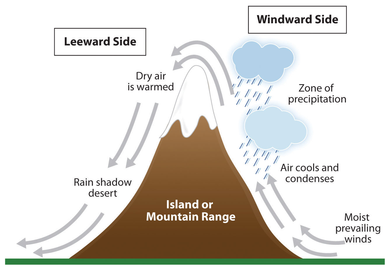 The Environment And Human Activity