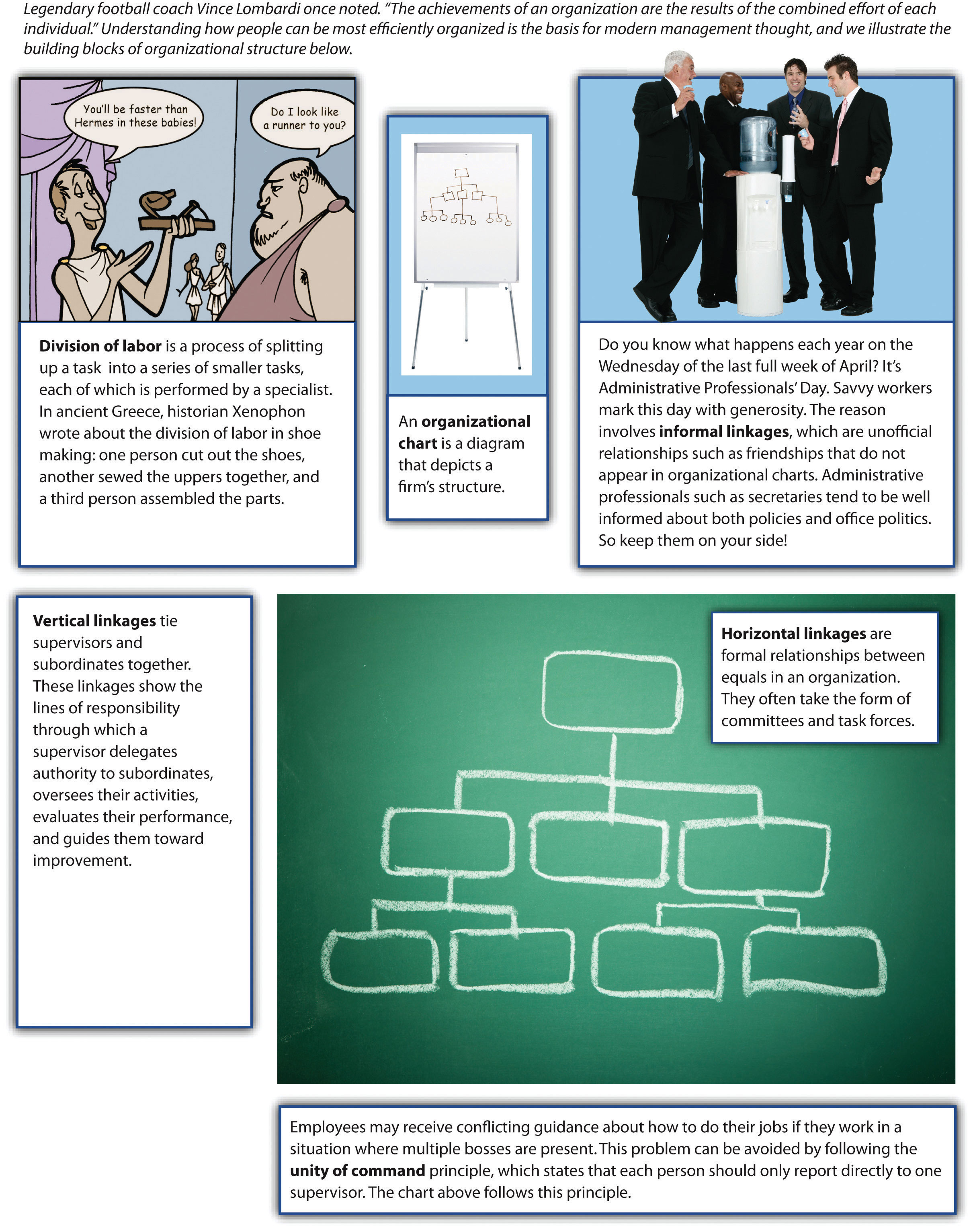 Publix Org Chart