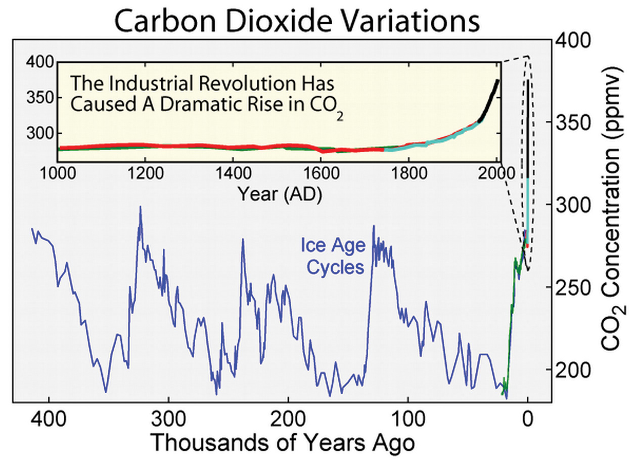 how human activities affect the natural ecosystem