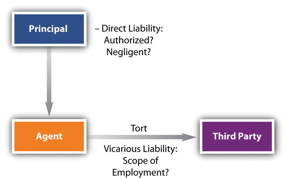 D. Principal Liability \u2013 CCBC Legal Studies \u2013 Business Law I