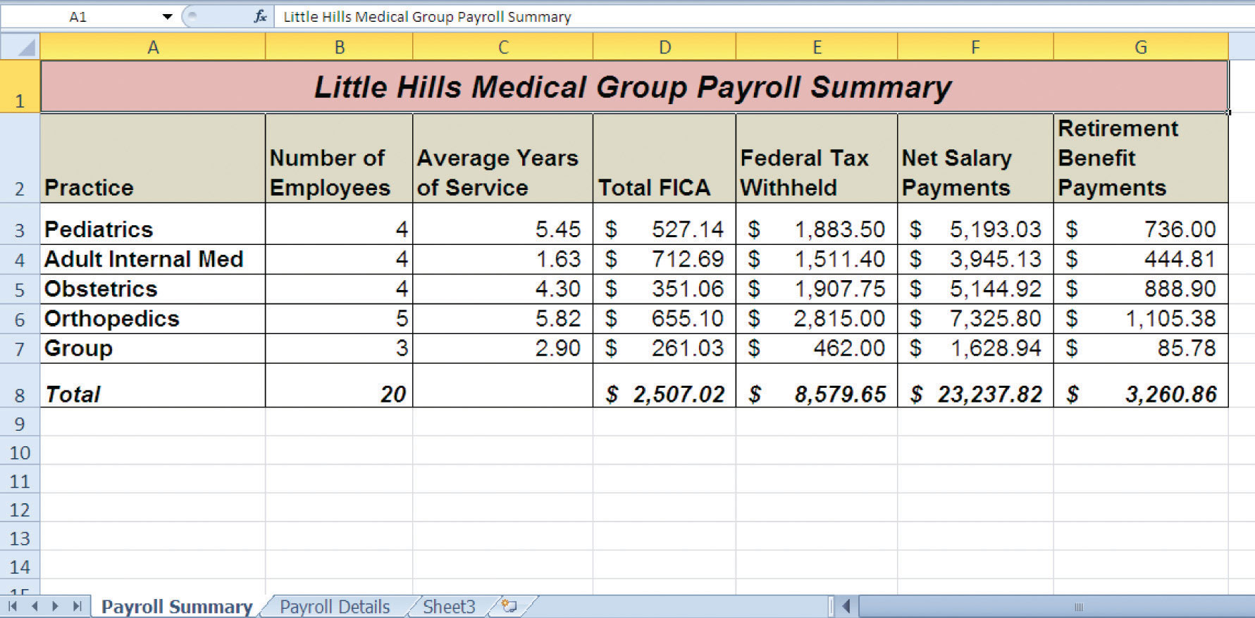 Microsoft Office Access Payroll Template